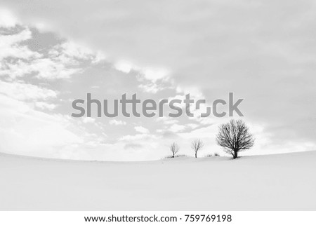 Winter landscape, minimalistic concept