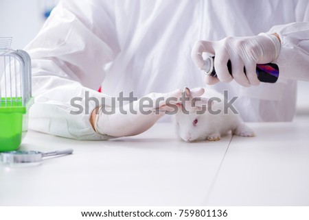 Scientist doing animal experiment in lab with rabbit Royalty-Free Stock Photo #759801136