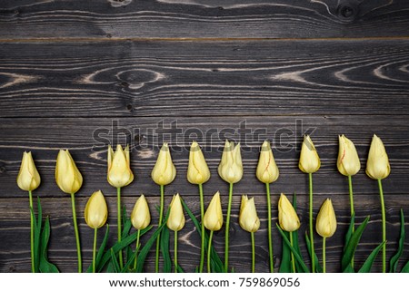 Yellow tulip flowers border on wooden background. Spring background with tulips, copy space. Flat lay, top view. Holiday greeting card for Valentine's Day, Woman's Day (March 8), Mother's Day, Easter