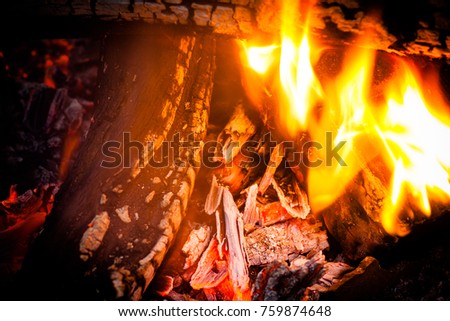 up close picture of fire burning wood