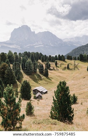 Rural view of houses in mountain valley (Val Gardena) in Dolomites, Italy