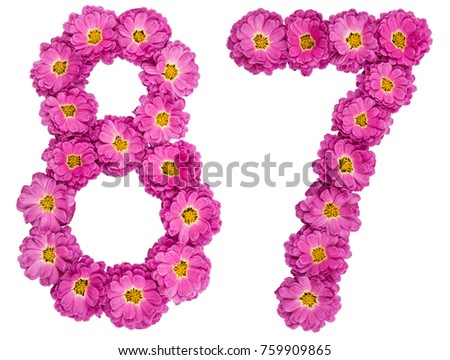 Arabic numeral 87, eighty seven, from flowers of chrysanthemum, isolated on white background