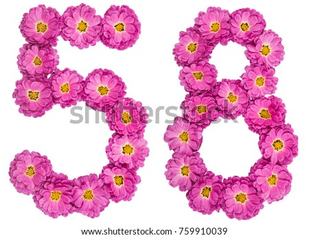 Arabic numeral 58, fifty eight, from flowers of chrysanthemum, isolated on white background