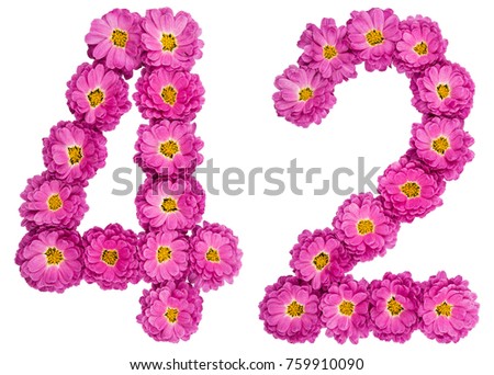 Arabic numeral 42, forty two, from flowers of chrysanthemum, isolated on white background