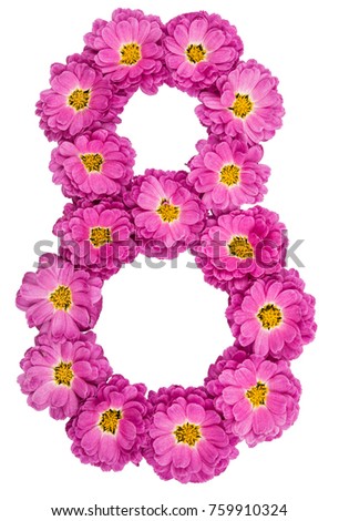 Arabic numeral 8, eight, from flowers of chrysanthemum, isolated on white background