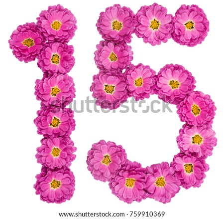 Arabic numeral 15, fifteen, from flowers of chrysanthemum, isolated on white background