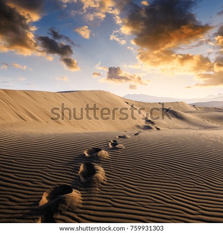 Footprints on sand in the desert stretching into the distance. Hot landscape with sand dunes against the background of the orange sunset