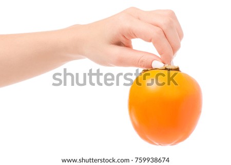 Persimmon sharon in hand on a white background isolation