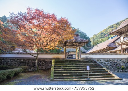 Bright sunlight lights up the red, orange, and yellow leaves of a large tree beside the moss covered stone steps at the entrance to an ancient, wooden Buddhist temple in Japan.