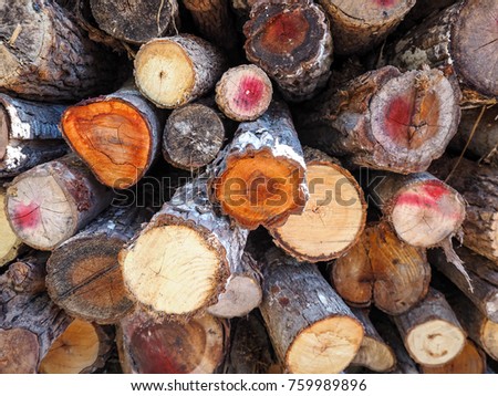 Wood prepared to make firewood.