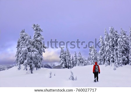 Winter snowshoe hiking in mountains. Active outdoorsman hikes to the top of a mountain range at sunset. Crater Lake National Park. Portland. Oregon. United States.