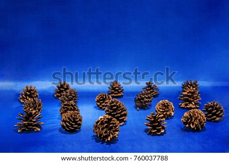 Pine cones isolated on blue background. Abstract background.  