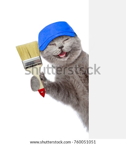 Funny cat in blue hat with paint brush behind white banner. isolated on white background