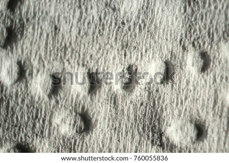 texture. enlarged with a slit lamp paper tissue for hands