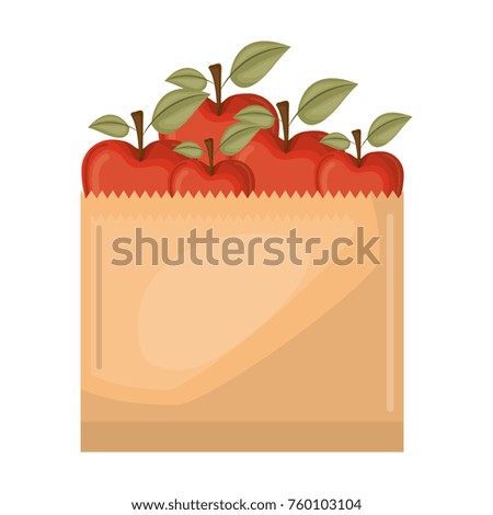 paper bag with apple fruits