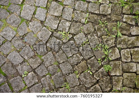Gray stone floor tile with new grass for background. Toned.