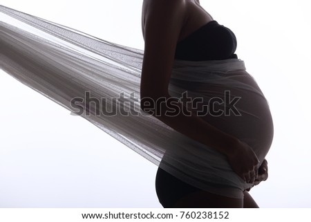 Silhouette Portrait of Pregnant woman hold bouquet flower and fabric fluttering in Air waving fashion style, Studio lighting white background, low exposure