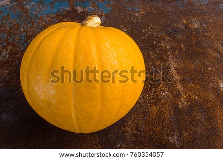 Pumpkin on a rusty background