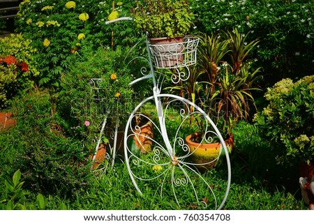 Bike in the garden