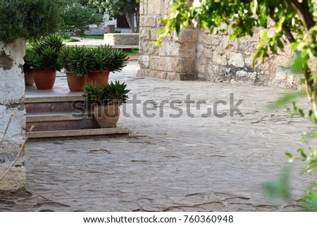 The old green garden of Cyprus Famagusta