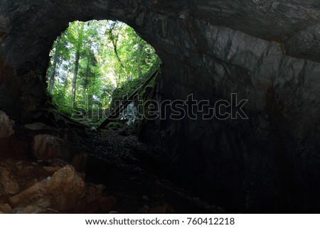 Photo of a not well known cave in  Slovenian forest.