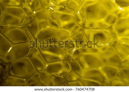 Macro photo of sponge, dish washing sponge