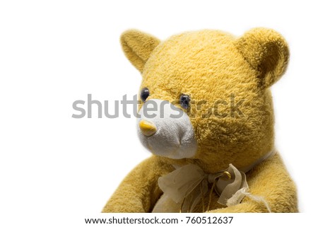 Toy Doll bear on white background.