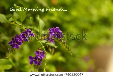 Good Morning message on flower and green background with shallow depth