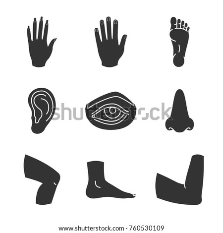 Human body parts glyph icons set. Silhouette symbols. Male and female hands, nose, eye, feet, ear, elbow joint, knee. Raster isolated illustration
