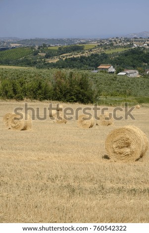 Rural landscape along the road from Sant'Egidio alla Vibrata to Civitella del Tronto (Abruzzi, Italy) at summer