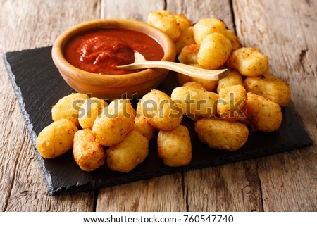 Organic Fried Tater Tots made from fried potato and ketchup close-up on the table. Horizontal
