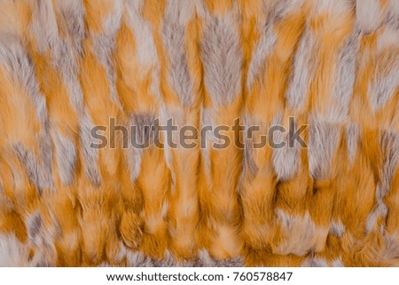 Texture and background of red fox fur