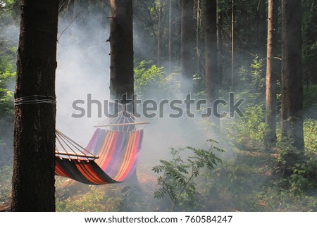 photo color hammock in the forest in the smoke