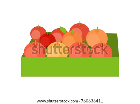 Red apples in a green box. Box full of fresh apples in flat. Box of lovely red apples. Retail store element. Isolated  illustration on white background.