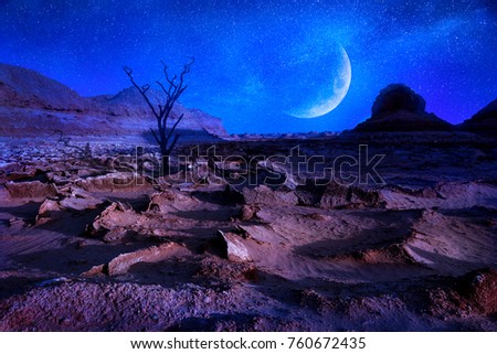 Lonely dty tree in the desert. Lunar landscape in the Dasht-e Lut desert. The hottest place on Earth. Iran. Persia. Change climate concept.