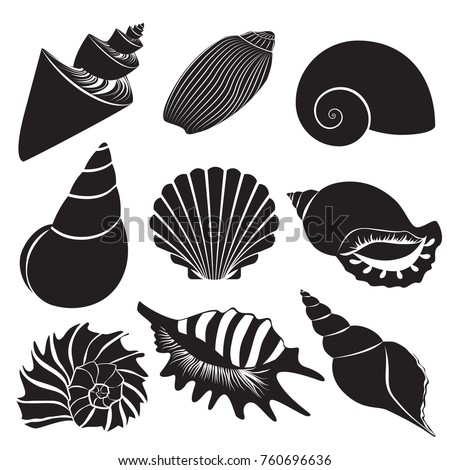 Vector sea shells. Seashell silhouettes set isolated. Royalty-Free Stock Photo #760696636