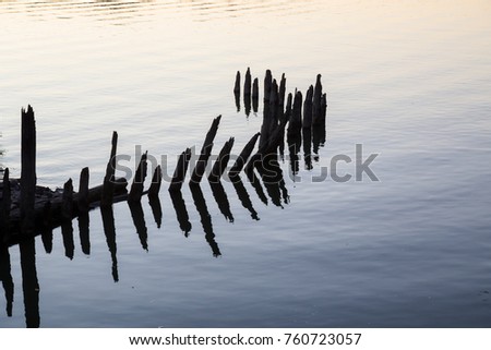 Abstract picture of wooden poles sticking out from Fraser River at Kanaka Creek Regional Park, Maple Ridge, Greater Vancouver, British Columbia, Canada.