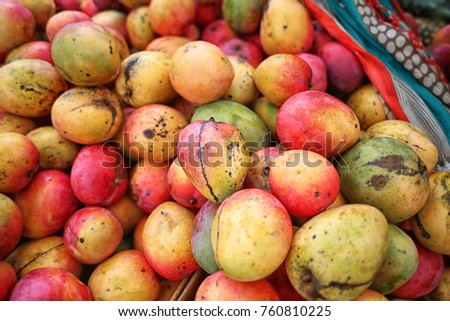 Mango Fruit at Farmers Market Farm Fresh Organic Produce in the Summer for Sale