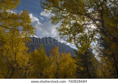 Autumn under mountains
