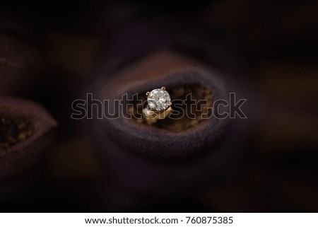 One Diamond Ear Ring In a Gum Nut On A Dark Background