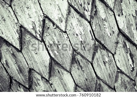 Abstract background. Monochrome texture. The image contains the effect of black and white tones