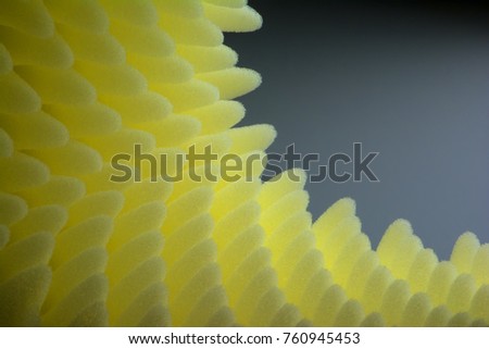 close-up of yellow knolls of sponge on gray background. Abstract macro photography of corrugated polyurethane looks like sea anemone