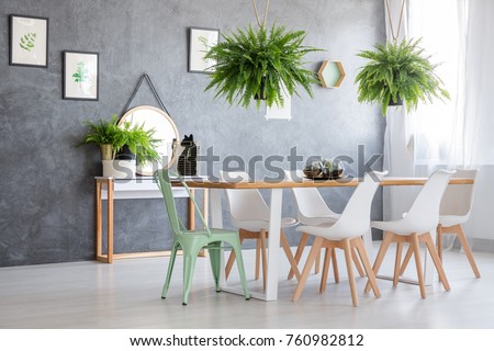 Pictures of various herbs hanging on a black wall in a fern filled interior of a house 
