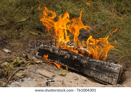 Orange flames on a burning log
