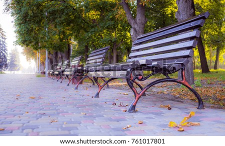 Picturesque colorful deserted autumn city park