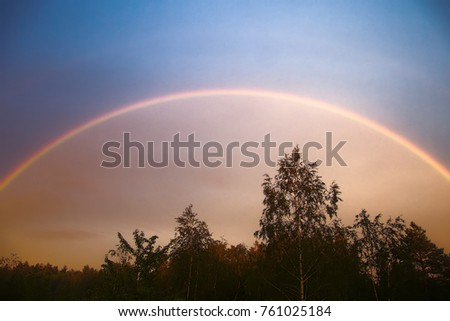Rainbow over forest, primary rainbow and colours palette. Optical fantasy