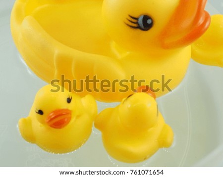 toy duck yellow on water