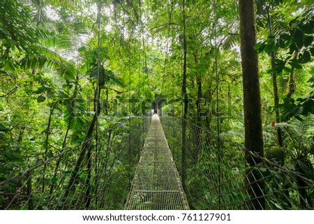 Hanging suspension bridge in Monteverde cloud forest reserve Costa Rica Royalty-Free Stock Photo #761127901