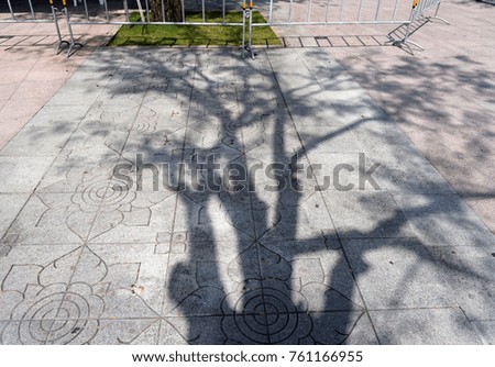 Beautiful shadow of trees on cement walkway in the park