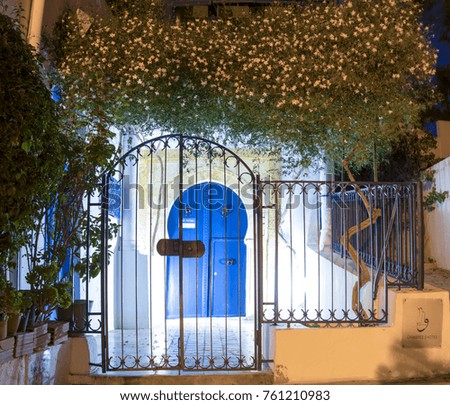 Arabic gates in Tunis